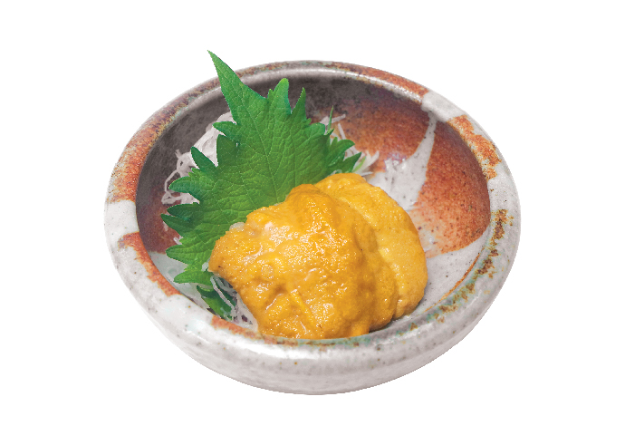 SEA URCHIN - 2 PCS